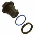 MKJ3C7W7-10CN - CONN RCPT FMALE 10POS GOLD SLDR
