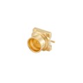 19S141-40ML5-NM - SMP NON MAGNETIC STRAIGHT PLUG P