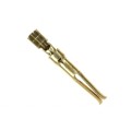 205201-6 - CONN SOCKET 20-24AWG GOLD CRIMP