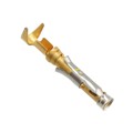 66563-1 - CONN SOCKET 20-24AWG GOLD CRIMP