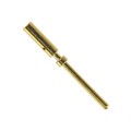 21011009020 - M12 A-CODE 8PIN MALE CONTACT AWG