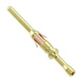 RM28M1D28 - CONN PIN 28-30AWG GOLD CRIMP