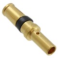 L17DM53744206 - CONN D-SUB SOCKET CRIMP GOLD