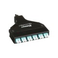 FQXO-12-10AS - 12-FIBER QN SFQ CASSETTE, SIX LC