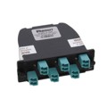 FC2ZO-12-10AF - 12-FIBER OM4 TOTAL, OPTIMIZED LO