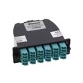 FC2ZN-24-10AF - OM4 24-FIBER TOTAL, STANDARD LOS