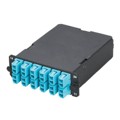 FCXO-24-10Y - 24-FIBER CASSETTE OPTIMIZED OM3