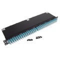 F1RBZA-2B08-10S - OM4 128-FIBER, BROCADE-TYPE LABE