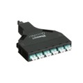 FQXO-12-10B1 - 12-FIBER OM3 10 GBE SFQ CASSETTE