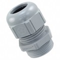 4-1106005-7 - CONN CABLE GLAND PG21 IP68