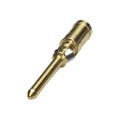 1672453 - CONTACT H.D. CRIMP PIN 20AWG