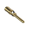 1674927 - CONTACT H.D. CRIMP PIN 14AWG