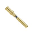 09152006226 - CONTACT H.D. CRIMP SOCKET 14AWG
