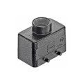 19307101421 - 10B HOOD TOP ENTRY, DOUBLE LEVER