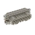 1650780000 - INSERT FEMALE 16POS+1GND SCREW