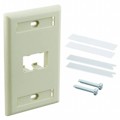 CFPL2EIY - SINGLE GANG, VERTICAL FACEPLATE