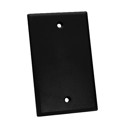 NFP-1001 - KEYSTONE WALL PLATE SINGLEGANG
