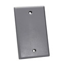 NFP-1000 - KEYSTONE WALL PLATE SINGLEGANG