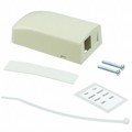 NK2BXEI-A - MOD BOX SMD 2PORT IVORY