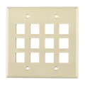 FPDG12-I - FACEPLATE DBL GANG 12PORT IVORY