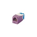 CJ6X88TGVL-24 - MINI-COM MODULE, CAT 6A, UTP, 8