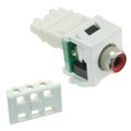 NKRPMRIW - INSERT RCA JACK TO IDC CONN