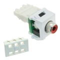 NKRPMRWH - INSERT RCA JACK TO IDC CONN
