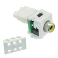 NKRPMYIW - INSERT RCA JACK TO IDC CONN