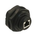 1300580059 - CONN MOD COUPLER 8P8C TO 8P8C