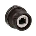 RJFTV7SA5GF059 - RJFTV SIZE 19 38999 SHELL JAM NU