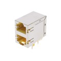 MTJG-2-88JX1-FSG-PG-P114C - GANGED MODULAR JACK 2*1PORT 8P8C