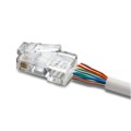 CAT5-HPP - CAT 5/6 CONNECTOR, MALE, 50 PACK