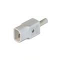 PX0686/WH - CONN AC PLUG STR MALE WHITE