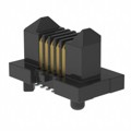ER8-10P-0.8SV-2H - CONN HDR 10POS SMD GOLD