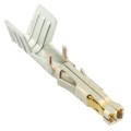 1720630312 - CONN SOCKET 12AWG CRIMP GOLD
