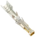 1720630311 - CONN SOCKET 14-16AWG CRIMP GOLD