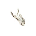 IL-Z-C3-A-15000 - CONN SOCKET 28-32AWG CRIMP TIN