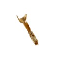 47711-001LF - CONN SOCKET 28-32AWG CRIMP GOLD