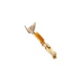 47744-000LF - CONN SOCKET 28-32AWG CRIMP GOLD