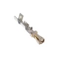 CC83R-2426-L - CONN SOCKET 24-26AWG CRIMP GOLD