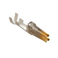 0428150042 - CONN SOCKET 14-16AWG CRIMP GOLD