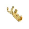 LY10-C1-A1-10000 - CONN SOCKET 22-26AWG CRIMP GOLD