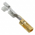 CC79L-2630-01-F - CONN SOCKET 26-30AWG CRIMP GOLD