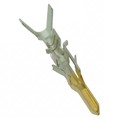 0444781211 - CONN PIN 18-20AWG CRIMP GOLD