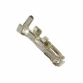 5036571000 - CONN SOCKET CRIMP TIN