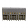 CHG-1010-001010-KEP - CONN RCPT 10P IDC 22-24AWG GOLD