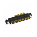 M80-4D11205F2-00-000-04-327 - DATAMATE 2-ROW MIX-TEK FEMALE CR