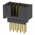 ZSS-105-02-G-D-450 - CONN HDR .100" 10POS