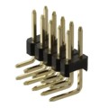 61301021021 - CONN HEADER R/A 10POS 2.54MM