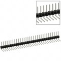 PEC31SBBN - CONN HEADER R/A 31POS 2.54MM